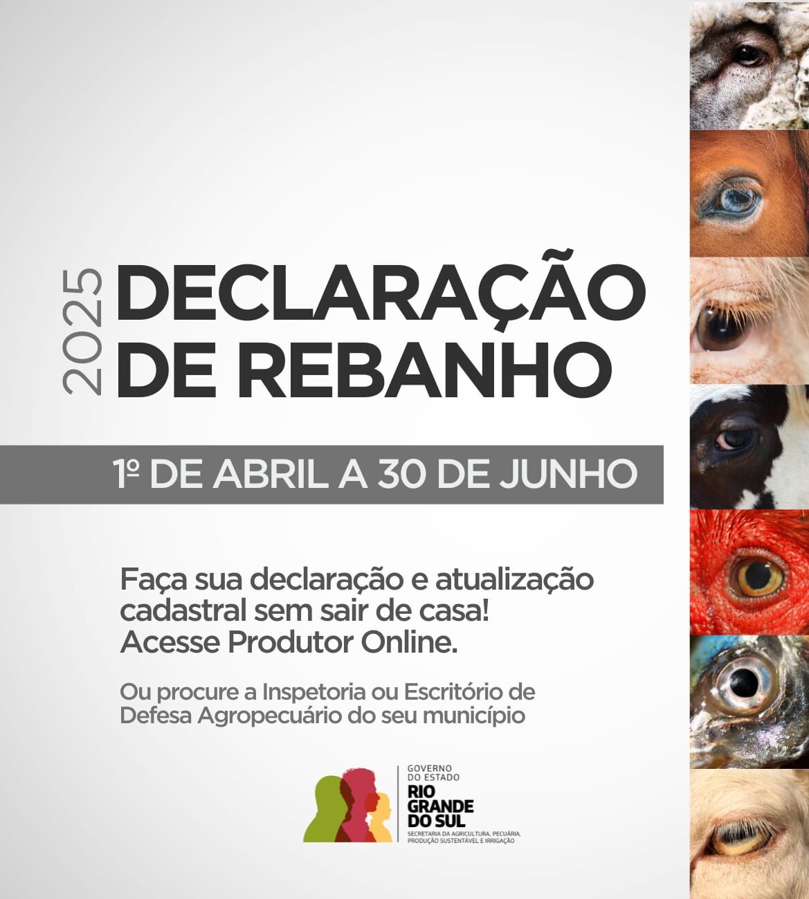 declaracao-de-rebanho-2025